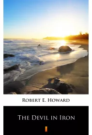 eBook The Devil in Iron mobi epub
