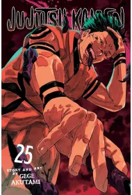 Jujutsu Kaisen. Vol. 25