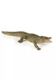 Aligator