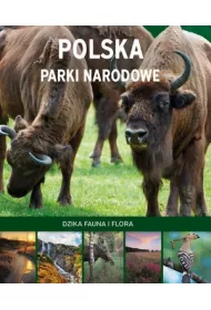 Polska Parki Narodowe. Dzika fauna i flora