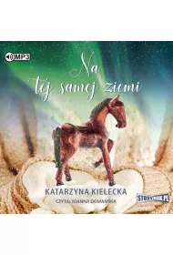 Audiobook Na tej samej ziemi. Lilka i liwa. Tom 2 CD