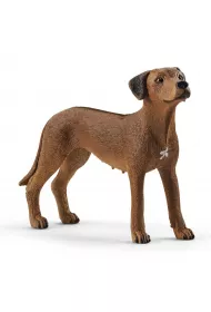 Rhodesian Ridgeback