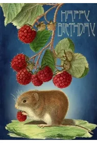 Madame Treacle Karnet B6 z kopert� Urodziny Myszka