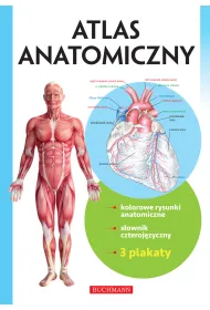 Atlas anatomiczny