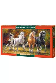 Puzzle 4000 el. Born to Run Castorland