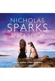 Audiobook Anio� Str� mp3