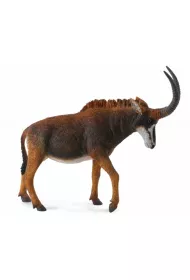 Antylopa gigant sable samica