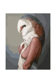 Twoje Hobby Malowanie po numerach - Kobieta Sowa 40x50cm