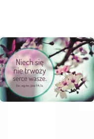 Szaron Magnes na lod�wk� - Niech si� nie trwo�y...