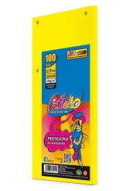 Pastello Przek�adka do segregatora 1/3 A4 100K IT210 ��ta