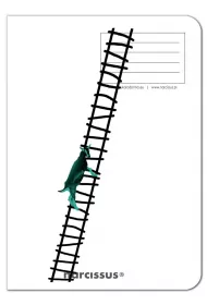 Narcissus Zeszyt A4 PP Fun Goat Ladder kratka 60 kartek 4 szt.