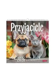 Opress Kalendarz 2026 wieloplanszowy kwadrat Przyjaciele
