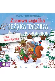 Audiobook Zimowa zagadka Jeyka Tadzika mp3