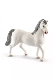 Ogier Lipizzaner