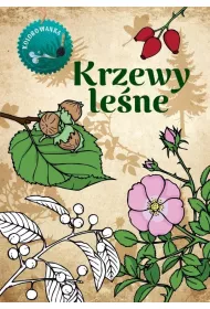 Krzewy le�ne. Kolorowanka