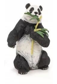 Panda z bambusem