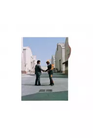 Wish You Were Here (vinyl)