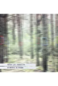 No Mirrors, No Friends CD