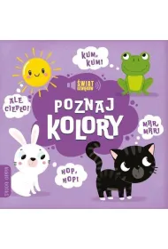Poznaj kolory