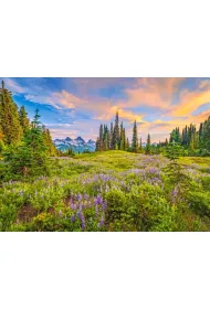 Puzzle 2000 el. Blossoms of Morning Castorland