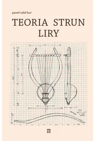 Teoria strun liry