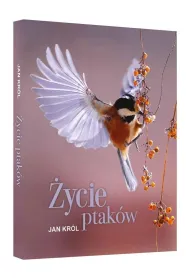 �ycie ptak�w *