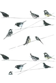 Museums & Galleries Karnet Garden Birds wallpaper z kopert� 17 x 14 cm