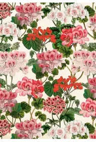 Skona Ting Karnet ST531 B6 + koperta Pelargonia