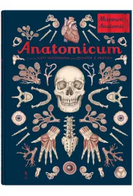 Anatomicum. Muzeum Anatamii
