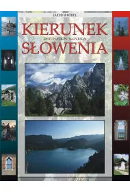 eBook Kierunek S�owenia pdf