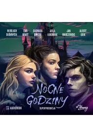 Audiobook Nocne godziny mp3
