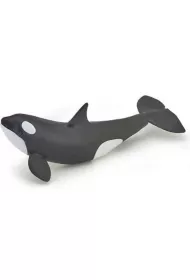 Orka m�oda
