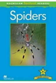 Factual: Spiders 4+