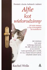 ALFIE KOT WIELORODZINNY OM-AMBER