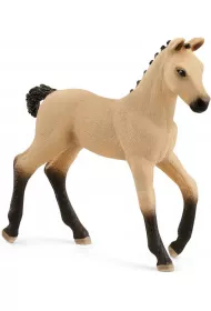�rebi� Rasy Hanoverian, Red Dun