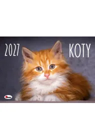 Kalendarz 2027 �cienny Koty KA2