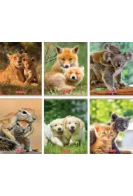 Herlitz Zeszyt A5 Animals kratka 16 kartek 20 szt.