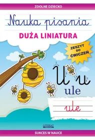 Nauka pisania Dua liniatura
