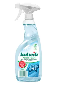 P�yn do mycia zat�uszczonych powierzchni Active Foam Fresh (uszkodzone opakowanie)