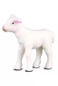 Jagni� stoj�ce