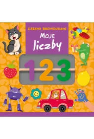 Zabawa drewienkami. Moje liczby