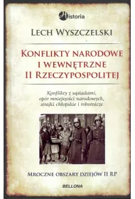 eBook Konflikty narodowe i wewn�trzne w II Rzeczypospolitej mobi epub