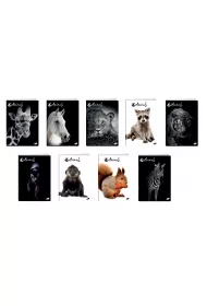 Elisa Zeszyt A5 Animals kratka 60 kartek 10 szt.