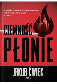 Ciemno ponie