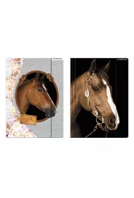 Starpak Teczka z gumk� A4 Horses