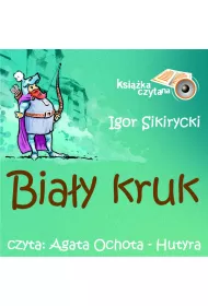 Audiobook Biay Kruk mp3