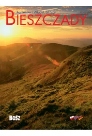 Bieszczady miniatura