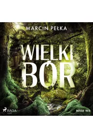 Audiobook Wielki Br mp3