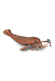 Collecta Jaekelopterus