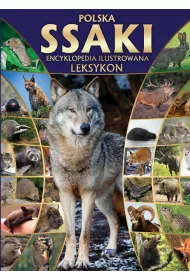 Ssaki encyklopedia ilustrowana leksykon